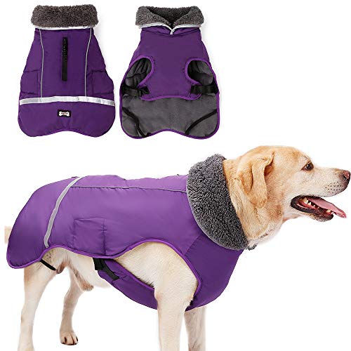 Wasserdichter winddichter Hundemantel für kaltes Wetter, warme Hundekleidung, Jacken für kleine, große, mittelgroße Mädchen, Jungen, Aktivitäten im Freien und drinnen (lila, XL) von Jranter