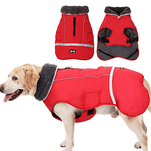 Wasserdichter winddichter Hundemantel für kaltes Wetter, warme Hundekleidung, Jacken für kleine, große, mittelgroße Mädchen, Jungen, Aktivitäten im Freien und drinnen (rot, XL) von Jranter