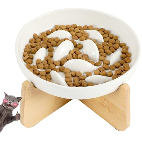 JuWow Futternapf für Katzen mit Ständer aus Keramik von JuWow