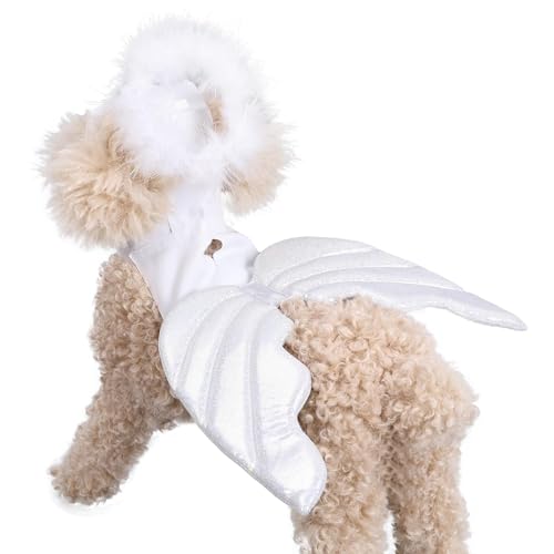 Haustier-Flügel-Kostüm | Hundefeenflügel | Leichte Haustierflügel | Das Pet Wing-Kostüm ist ein entzückendes und Bezauberndes Accessoire, das Ihre kleinen bis mittelgroßen Haustiere in magische Krea von Jubepk