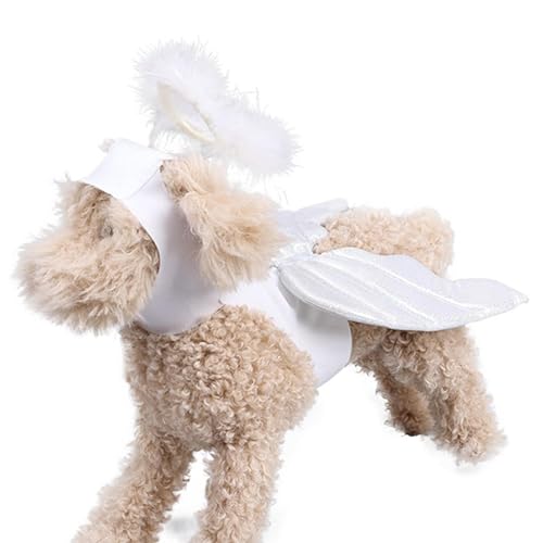 Haustier-Flügel-Kostüm | Hundefeenflügel | Leichte Haustierflügel | Das Pet Wing-Kostüm ist ein entzückendes und Bezauberndes Accessoire, das Ihre kleinen bis mittelgroßen Haustiere in magische Krea von Jubepk
