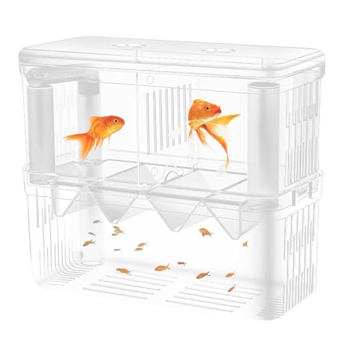 Jubepk Fischzuchtbecken, Fischzuchtbox - Acryl-Brutkasten, doppelschichtiger Zuchttank | Transparente Brutbox mit Saugnäpfen für Guppys, Clownfische und kleine Fische von Jubepk