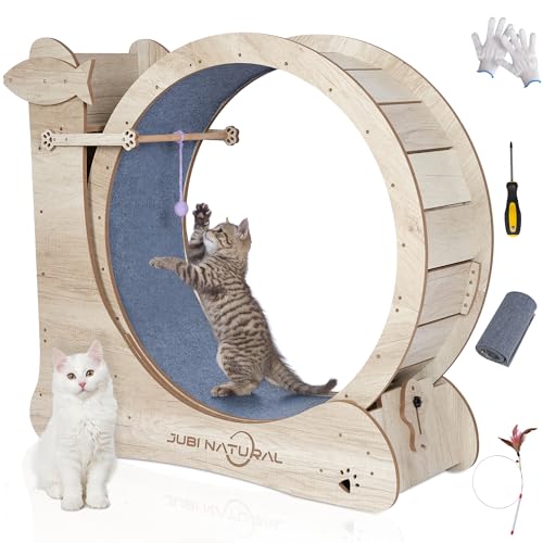 Katzen-Trainingsrad, 40 Zoll Katzenlaufrad für Indoor-Katzen mit Katzenkratzbrett und Teaser-Spielzeug, Katzenlaufband Rad mit Verriegelungsmechanismus, Katzen-Trainingsrad - Katze Gewichtsverlust und von JubiNatural