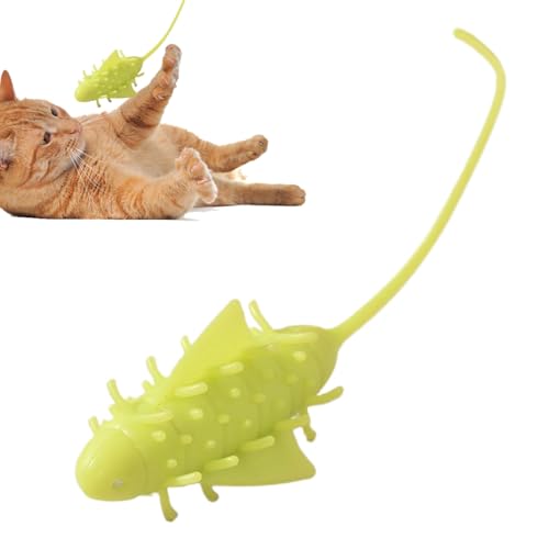 Smart Cat Play Toy - Interaktiver , Rolling Ball | Wiederaufladbares Verfolgungsjagd für Haustiere, LED -Aktivitätsgerät, Bewegungssensor -Unterhaltung, Kätzchen -Übungswerkzeug, unterhaltsame Ja Smart Cat Play Toy - Interaktiver , Rolling Ball | Wiederaufladbares Verfolgungsjagd für Haustiere, LED -Aktivitätsgerät, Bewegungssensor -Unterhaltung, Kätzchen -Übungswerkzeug, unterhaltsame Ja von Jubilofex