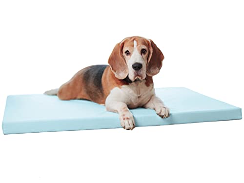 Juelle Orthopädisches Hundebett - Matratze, Ergonomische Matte für mittelgroße und große Hunde, Abnehmbarer Bezug, Maschinenwaschbar, Karo M-XXL (Größe: L - 100x75 cm, Himmelblau) von Juelle