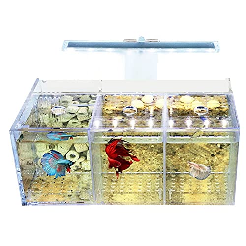 Jufjsfy Aquarium LED Acryl Aquarium-Set Mini Schreibtischpumpe Filterdreifachfilter von Jufjsfy