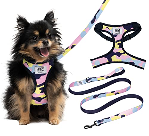 Juicy Couture Colorful Camo Hundegeschirr und Leine, Set – Verstellbares Welpengeschirr mit Welpenleine & Netzpolsterung Hundegeschirr, Größe M von Juicy Couture