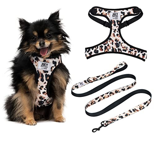 Juicy Couture Hundegeschirr und Leine, Leopardenmuster, verstellbar, mit Welpenleine und Netzpolsterung, Größe XS von Juicy Couture