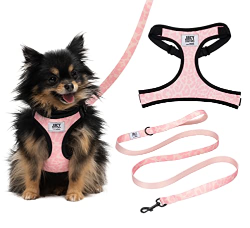 Juicy Couture Pink Camo Hundegeschirr und Leine Set - Verstellbares Welpengeschirr mit Welpenleine & Netzpolsterung Hundegeschirr, Größe M von Juicy Couture