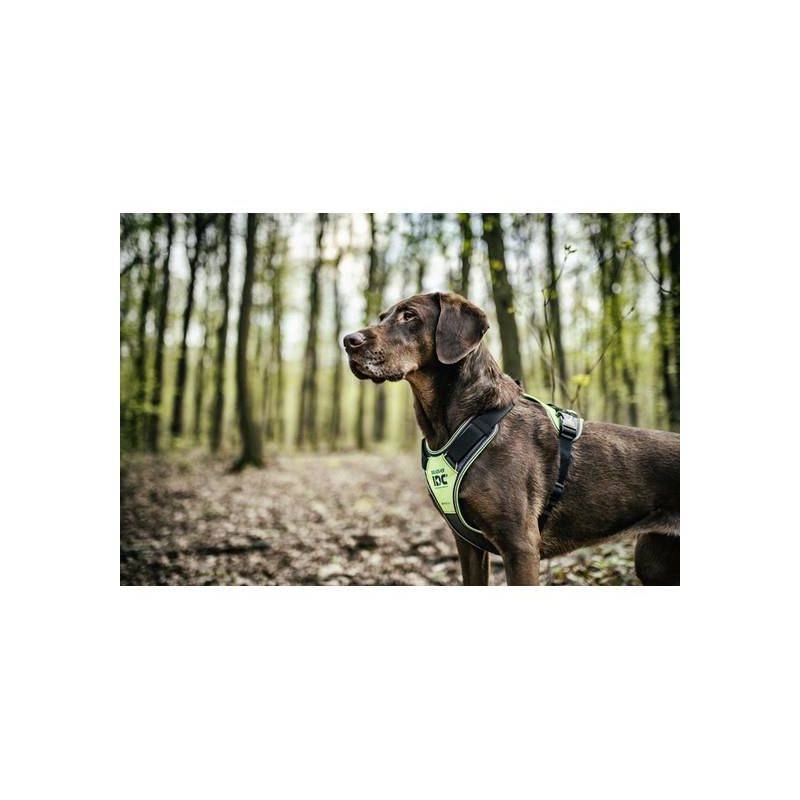 Julius K9® IDC® Longwalk Neon M von Julius K9®