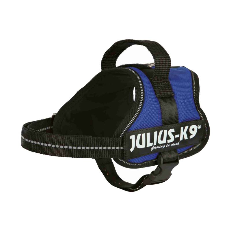 Julius-K9 Powergeschirr - L - Fuchsia von Julius K9