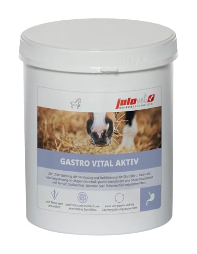 JuloVet Gastro Vital Aktiv | 1 kg | Ergänzungsfuttermittel für Pferde | Kann die Säureregulierung im Magen-Darm-Trakt positiv beeinflussen | Einfach zu verabreichen von JuloVet