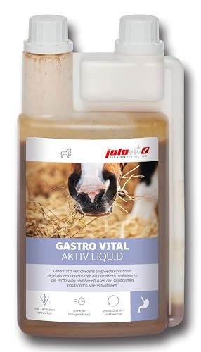 JuloVet Gastro Vital Aktiv Liquid | 1 l | Ergänzungsfuttermittel für Pferde | Zur Unterstützung der Darmflora und Stabilisierung der Verdauung nach Stresssituationen von JuloVet