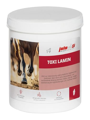 JuloVet Toxi Lamin | 1 kg | Ergänzungsfuttermittel für Pferde | Kann durch antioxidative und toxinbindende Wirkung die Gefäßstabilisierung bei Huferkrankungen unterstützen von JuloVet