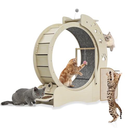 Julymoda Katzenlaufrad Großes Laufrad für Katzen Φ80cm, 5 in 1 Katzenrad Ink. Katzhaus/Spielstation/Kratzpads/2*Katzennäpfe/Katzen Spielzeug, Katzen Laufrad mit Schloss für Katzen Wohnungskatzen von Julymoda