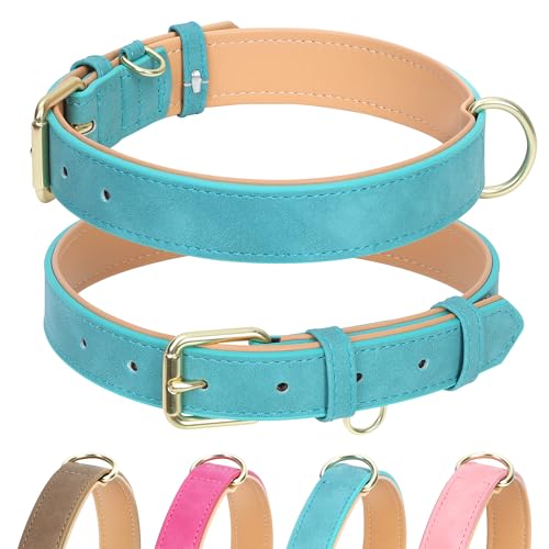 Jumpress Hundehalsband aus Leder für kleine, mittelgroße und große Hunde, weich gepolstertes Hundehalsband mit robuster goldfarbener Schnalle, langlebig und bequem für große Hunde, tägliches von Jumpress