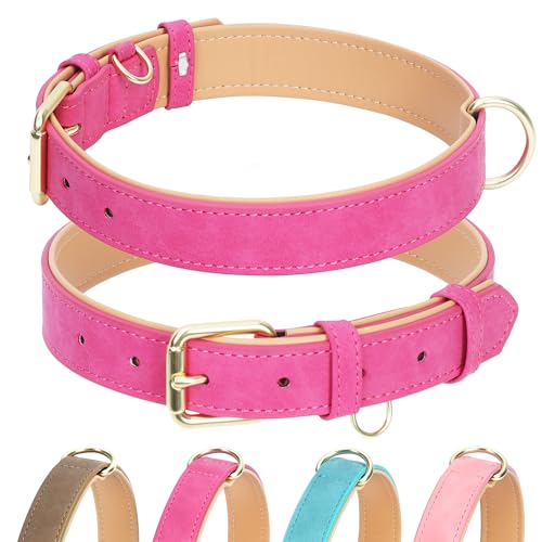 Jumpress Hundehalsband aus Leder für kleine, mittelgroße und große Hunde, weich gepolstertes Hundehalsband mit robuster goldfarbener Schnalle, langlebig und bequem für kleine Hunde, tägliches Gehen von Jumpress