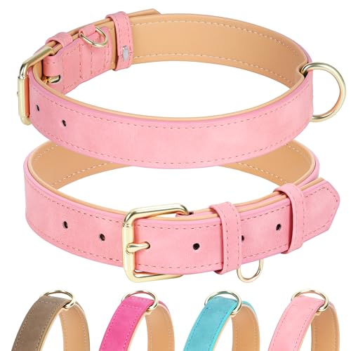 Jumpress Hundehalsband aus Leder für kleine, mittelgroße und große Hunde, weich gepolstertes Hundehalsband mit strapazierfähiger, goldfarbener Schnalle, langlebig und bequem für Welpen, Hunde, von Jumpress