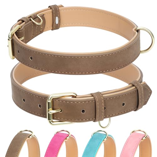 Jumpress Hundehalsband aus Leder für kleine, mittelgroße und große Hunde, weich gepolstertes Hundehalsband mit strapazierfähiger, goldfarbener Schnalle, langlebig und bequem für Welpen, Hunde, von Jumpress