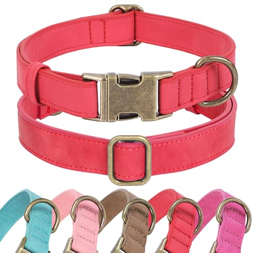 Jumpress Hundehalsband aus weichem Leder für kleine, mittelgroße und große Hunde, strapazierfähiges Hundehalsband aus Leder mit Schnellverschluss-Metallschnalle, langlebig und verstellbar für kleine von Jumpress