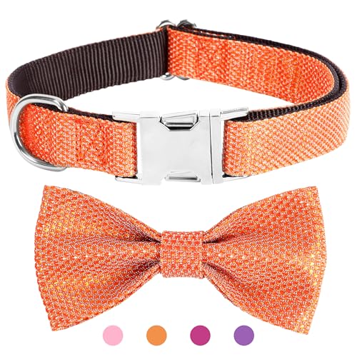 Jumpress Hundehalsband mit Schleife für kleine, mittelgroße und große Hunde, niedliches glitzerndes Hundehalsband mit Metallschnalle, weich und langlebig, für Welpen, Hunde, Orange, XS von Jumpress