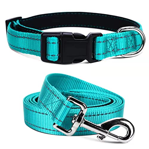 Jumpress Strapazierfähiges, reflektierendes Hundehalsband und Leine, Set mit doppellagigem Nylon, weiches Neopren-gepolstertes Hundehalsband mit 1.5 m starker Haustier-Leine, Halsumfang 26.7,39.9 cm von Jumpress