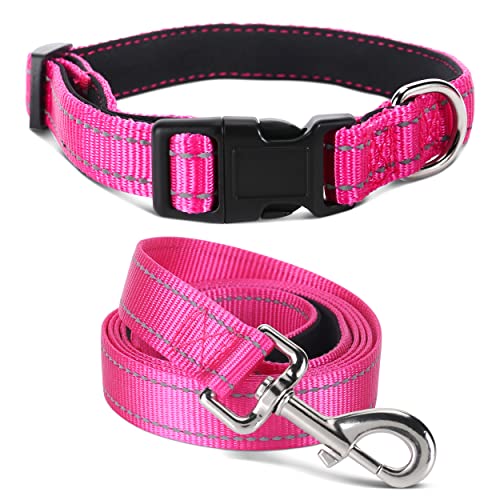 Jumpress Strapazierfähiges, reflektierendes Hundehalsband und Leine, doppellagiges Nylon, weiches Neopren-gepolstertes Hundehalsband mit 1.5 m starker Haustier-Leine, Halsumfang 26.7,39.9 cm von Jumpress