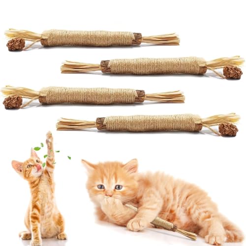 June tech Silvervine Kaustäbchen, natürliche Katzenzahn-Reinigung, Katzenminze, Spielzeug für Indoor-Kätzchen, Zahnen und Stressabbau, 4 Stück von June tech