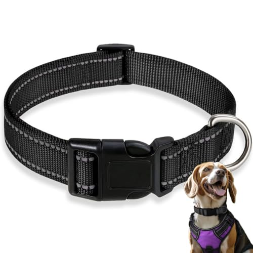 Reflektierendes Nylon-Hundehalsband mit Sicherheitsschnalle, Nylon, verstellbar, klassisches Welpenhalsband, Haustierhalsband mit weicher Neoprenpolsterung für extra kleine und Welpen, L (2,5 x 40–60 von June tech