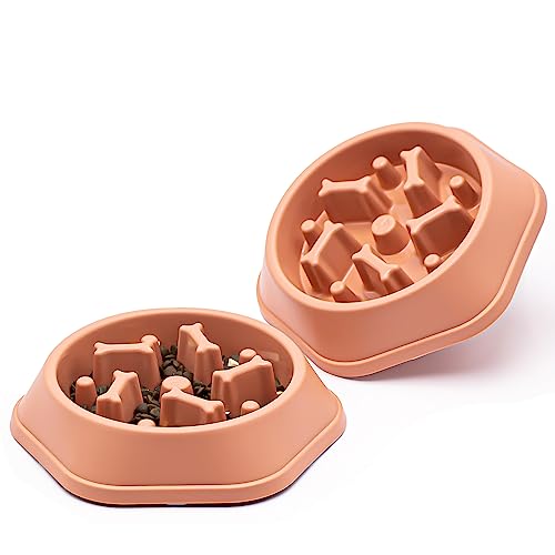 2pcs Hundeschüssel Hund Langsame Feeder Schüsseln Bloat Stop Food Bowl Interaktives Puzzle Gesunde Essschüssel (2pcs,Rosa) von Junhonsion