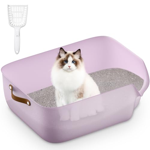 Offene Katzentoilette mit schrägem Eingang, leicht zu reinigen, langlebiges Design für Katzen(Transparent lila) von Junhonsion