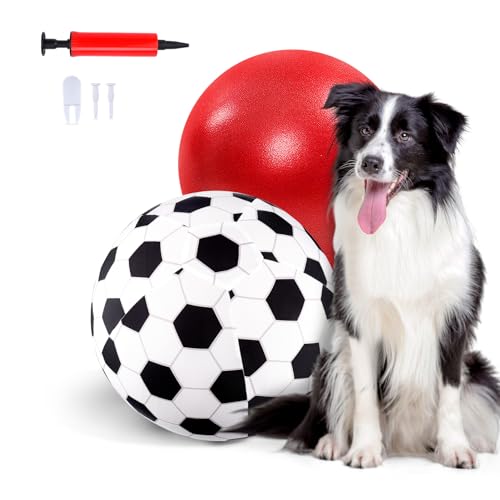 Juome Herding Ball für Hunde, 25,4 cm, mit Fußballtuchbezug, Handpumpe, interaktives Hundespielzeug für kleine und mittelgroße Hunde von Juome