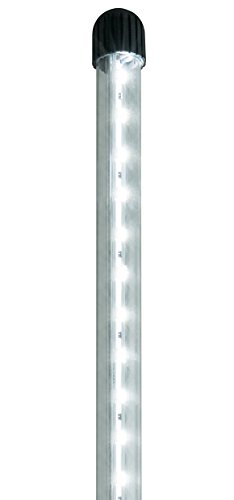 Juwel Aquarium 49260 NovoLux LED 60 weiß von Juwel Aquarium