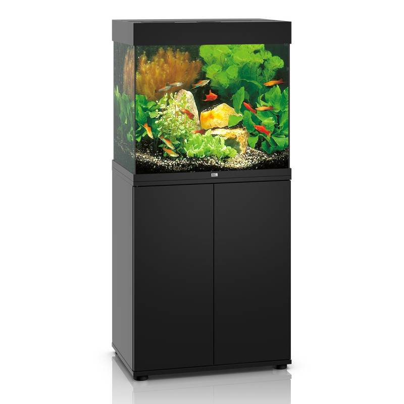 Juwel Lido 120 LED Komplett Aquarium mit Unterschrank SBX schwarz von Juwel