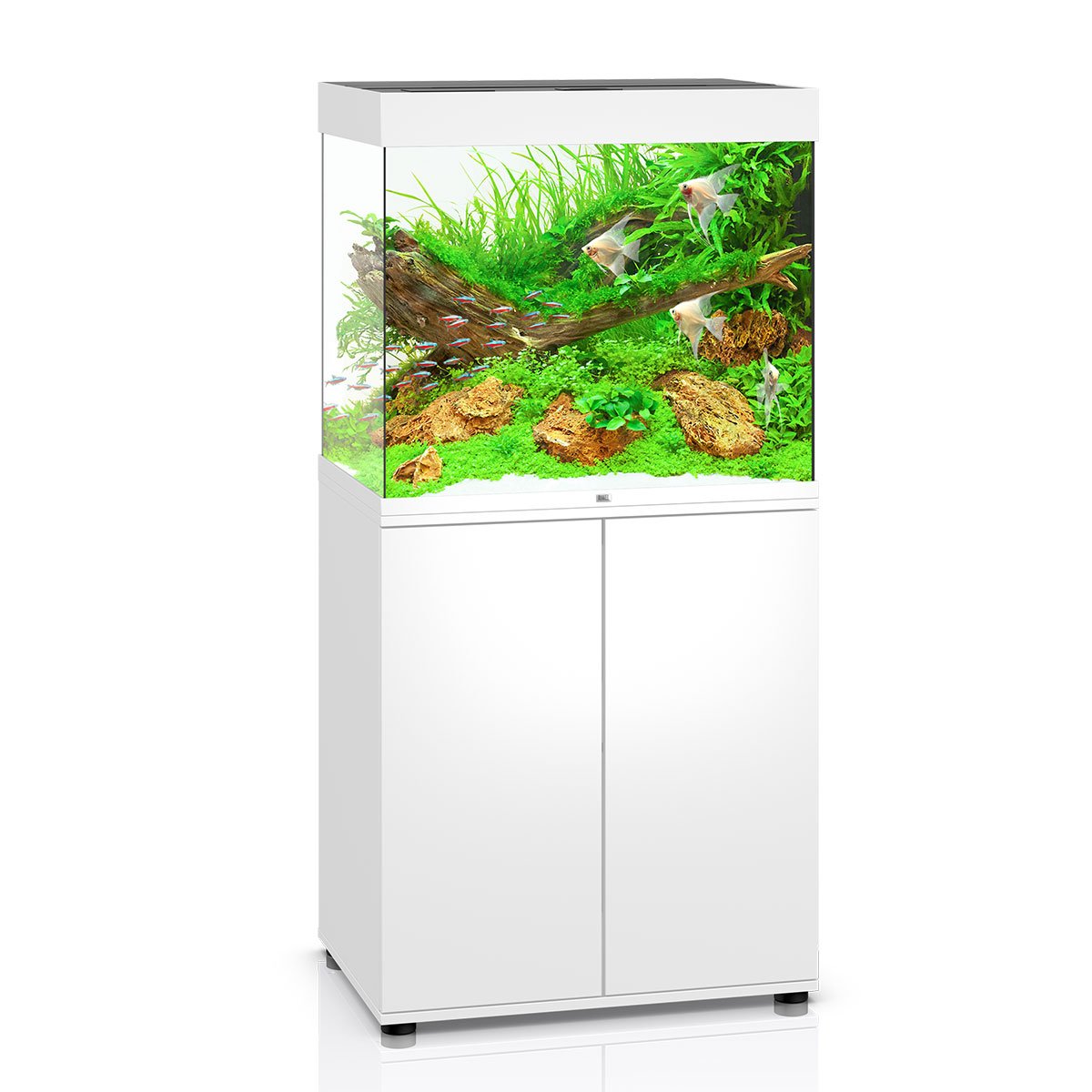 Juwel Lido 200 LED Komplett Aquarium mit Unterschrank SBX grau von Juwel