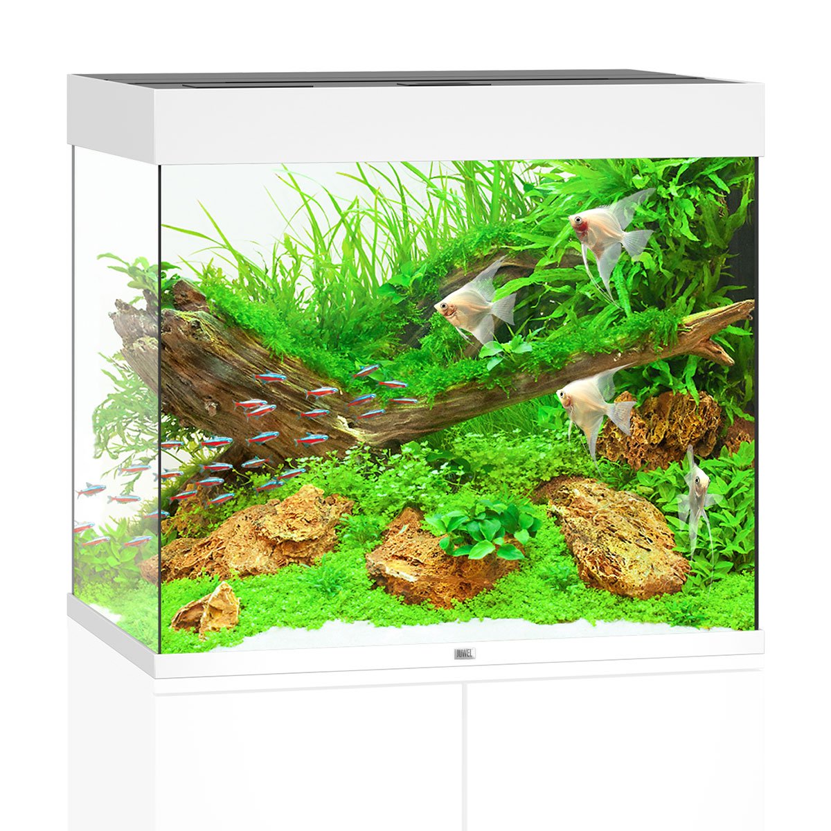 Juwel Lido 200 LED Komplett Aquarium ohne Schrank grau von Juwel