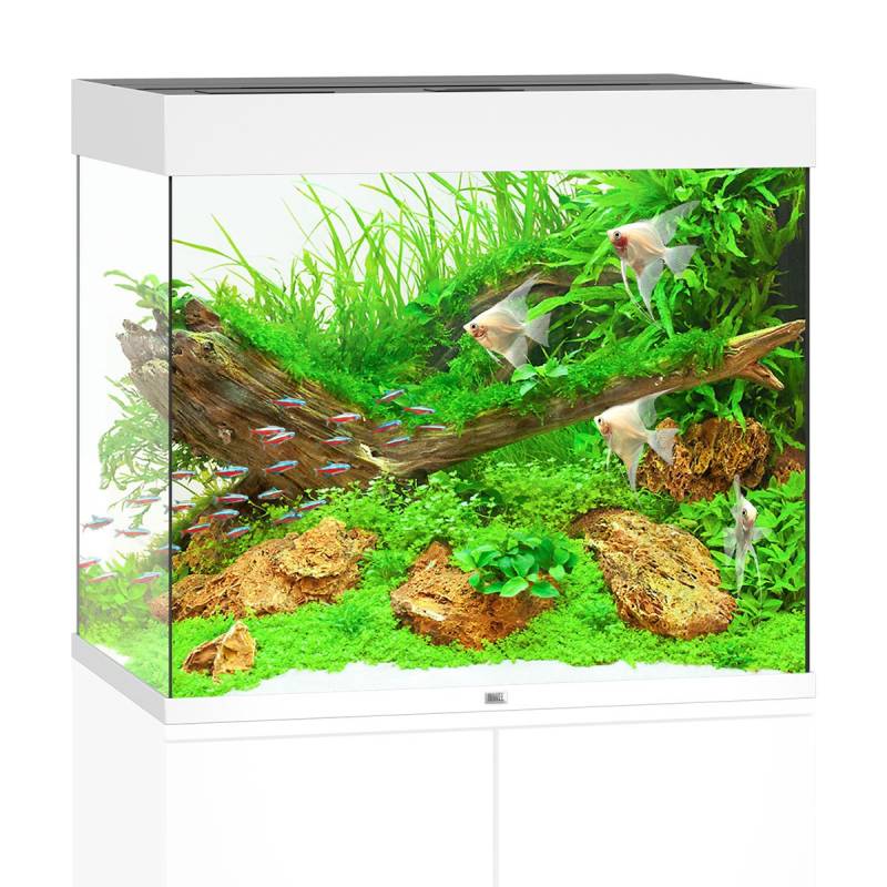 Juwel Lido 200 LED Komplett Aquarium ohne Schrank weiß von Juwel