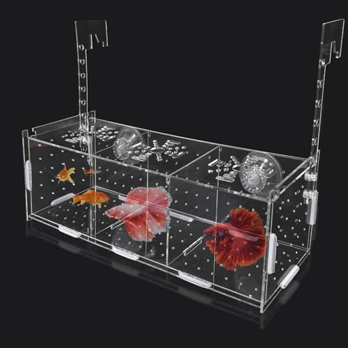 Fish Breeder Box, Acrylic Aquarium Separator, Non-Slip Aquarium Box, Multifunctional Non Slip Aquarium Incubator with Suction Cup for Guppy Shrimp Small Fishes von Jvjggag