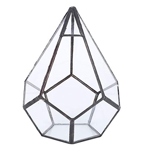 Geometrisches Glas-Terrarium, Pflanzen-Terrarium-Behälter, Blumentopf, Tisch-Pflanzgefäß, Dekor, Glas-Display-Box für Zuhause, Garten, Büro, Dekoration von Jwthee