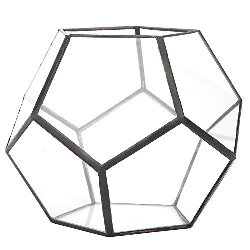 Glasterrarien für Pflanzen, moderner geometrischer Tisch-Terrariumbehälter, geöffneter Blumentopf, Innen-Desktop-Pflanzenterrarium für saftige Kakteen von Jwthee