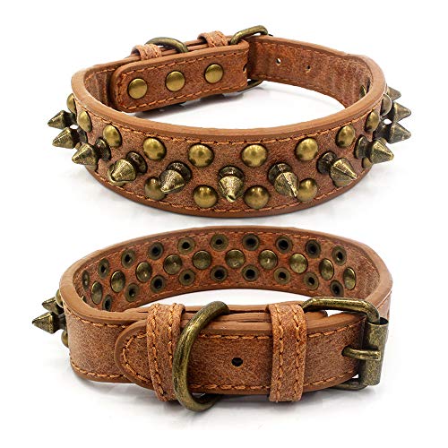 Jxinrong verstellbares Halsband aus PU-Leder für Katzen, Welpen und Hunde, L(14.2"-18" Neck), coffee von Jxinrong