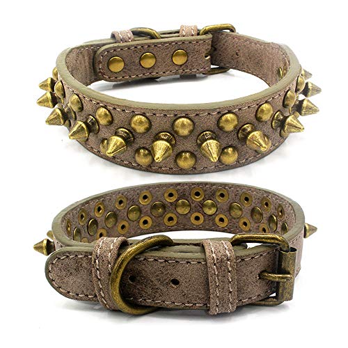 Jxinrong verstellbares Halsband aus PU-Leder für Katzen, Welpen und Hunde, L(14.2"-18" Neck), grau von Jxinrong