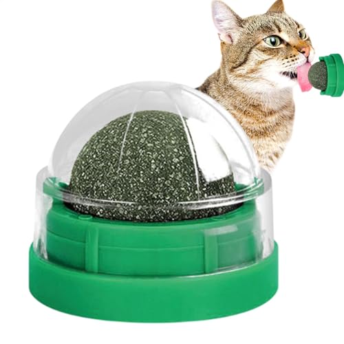 Jyxuyy Katzenminze-Ball, Katzenminze-Wandbälle für Katzen, Katzenbeiß-Leck-Kauspielzeug, Katzenminze-Rollerball, Leckerli-Ball, um den Appetit zu stimulieren und die Verdauung für Katzen zu von Jyxuyy