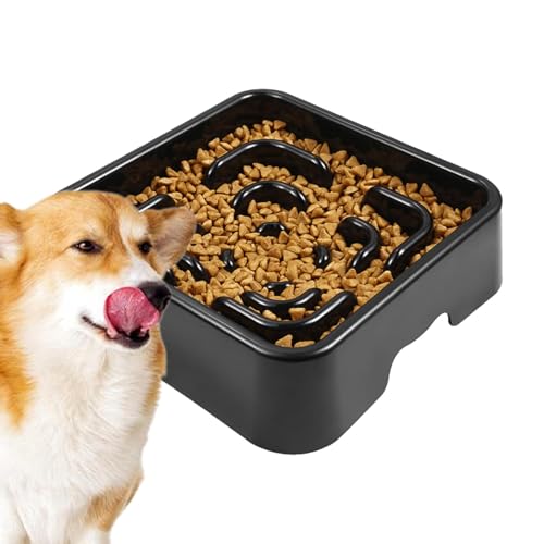 Slow Feeder Dog Bowl for Fast Eaters | Anti-Gulping Pet Dish with Non-Slip Base | Food-Grade Safe Maze Bowl for Puppies and Small Dogs | Perfect for Healthy Eating Habits von Jyxuyy