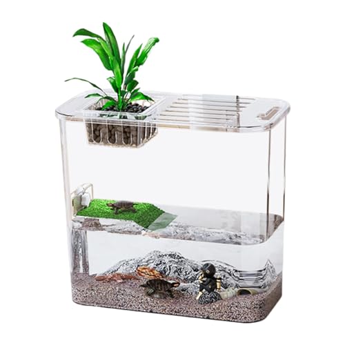 Turtle Aquarium for Turtles and Fish: Creative Terrarium Design with Clear Tank, Water and Land Habitat for Raising Turtles, Ideal Fish Tank for Aquatic and Semi-Aquatic Turtles von Jyxuyy