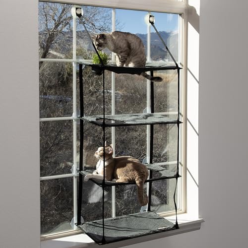 K&H Pet Products EZ Mount Katzen-Fensterstange mit 4 Ebenen, Katzengras, Wachstumsstation, Quad-Stapel, Turm-Hängematte, Fensterbett für den Innenbereich, selbstgewachsenes Gras, Katzenspielzeug für von K&H