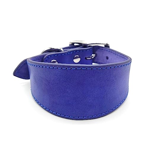 Breit gepolstertes Hundehalsband, echtes Leder, Welpenhalsband für Lurcher, italienische Windhunde, bequemes Haustierzubehör, Leder, gepolstert, breit Breit gepolstertes Hundehalsband, echtes Leder, Welpenhalsband für Lurcher, italienische Windhunde, bequemes Haustierzubehör, Leder, gepolstert, breit von KAHDGSS