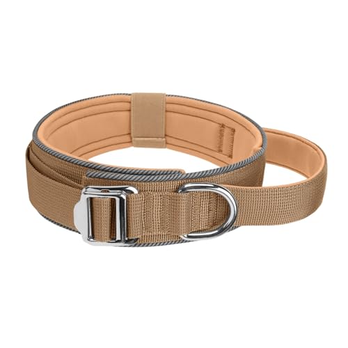 KAHDGSS Einstellbarer Hundehalsband Für Nachtsicherheit Weiche Gepolsterte Nylon Haustier Trainingshalsband Reflektierend Mit Reflektierender Sicherheit Für Kleine/große Hund KAHDGSS Einstellbarer Hundehalsband Für Nachtsicherheit Weiche Gepolsterte Nylon Haustier Trainingshalsband Reflektierend Mit Reflektierender Sicherheit Für Kleine/große Hund von KAHDGSS