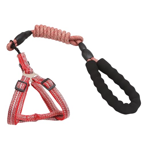 KAHDGSS Hundeleine Schlupfgürtel Leine Gurte Seil Langes Haustier Starkes Training Gehen Schwimmgürtel Weiche Hundeleine Für Mittelgroße Hunde KAHDGSS Hundeleine Schlupfgürtel Leine Gurte Seil Langes Haustier Starkes Training Gehen Schwimmgürtel Weiche Hundeleine Für Mittelgroße Hunde von KAHDGSS
