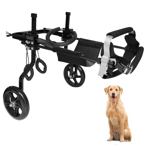 KAJILE Einstellbare Hunde-Rollstuhl,Haustier Cart,Handicap Hund Schwache Hinterbeine Rehabilitation Training,Fit Haustier Höhe 50-65cm,Haustier Breite 21-28cm,Haustier Länge 30-40cm,XL-2 von KAJILE